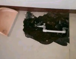 独山子卫生间测漏水多少钱